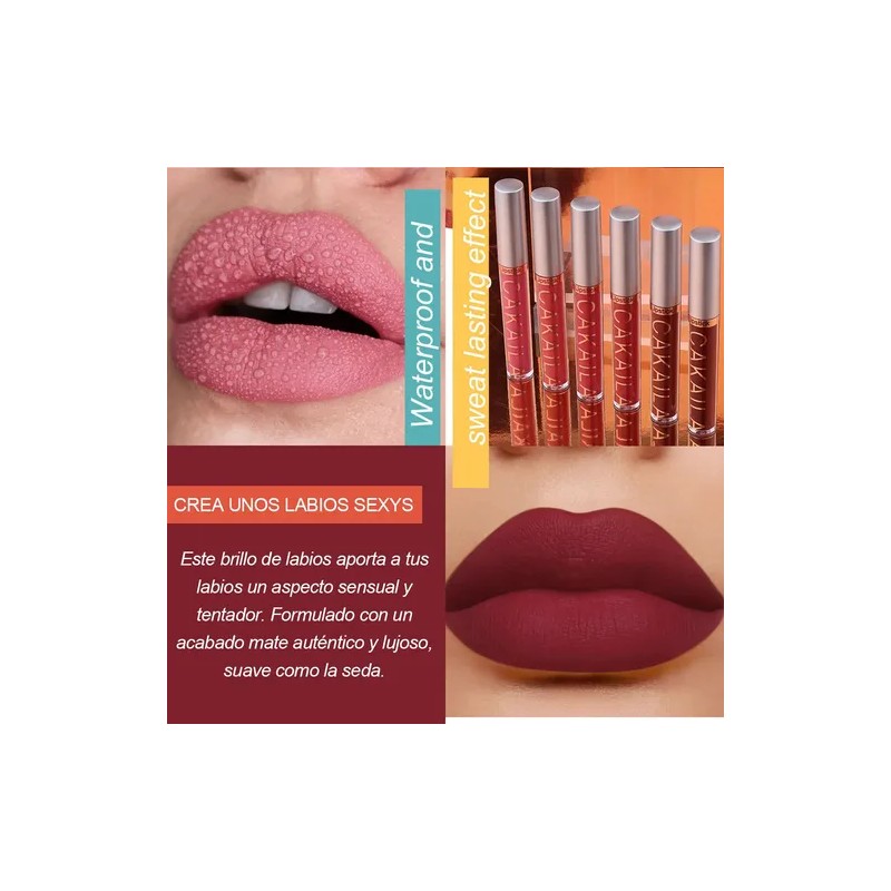 Gloss Labial Mate 6pcs Larga Duración Pigmentación Intensa