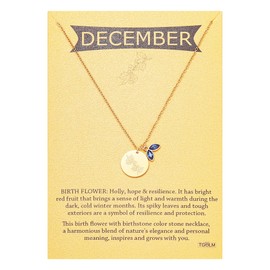 TGOLM December Birth Flower Birthstone Pendant Necklace for Women, Blue Cubic-zirconia Holly Charm Necklace Birthday Gift for Her