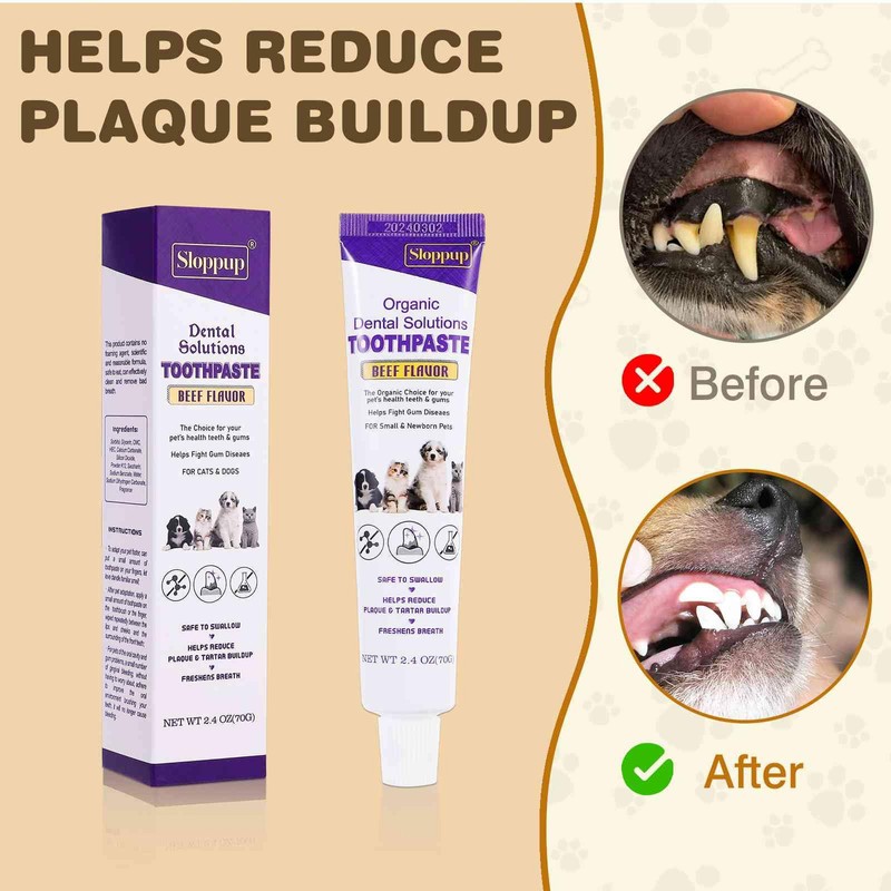 Toothpaste | Teeth Cleaning and Fresh Breath Dental Care for