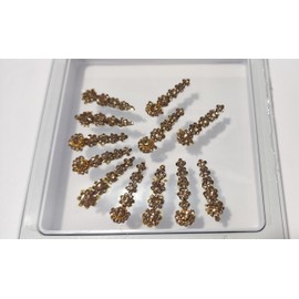 12 Bindi Box Long Crystal Bindis Bridal face Jewels Forehead Tika (With Extra Crystal Stones) | wedding makeup party event body art temporary tattoo Indian Bindi for women (Golden)