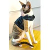 Mynwood Cat Jacket/Harness Black Watch Tartan Adult Cat