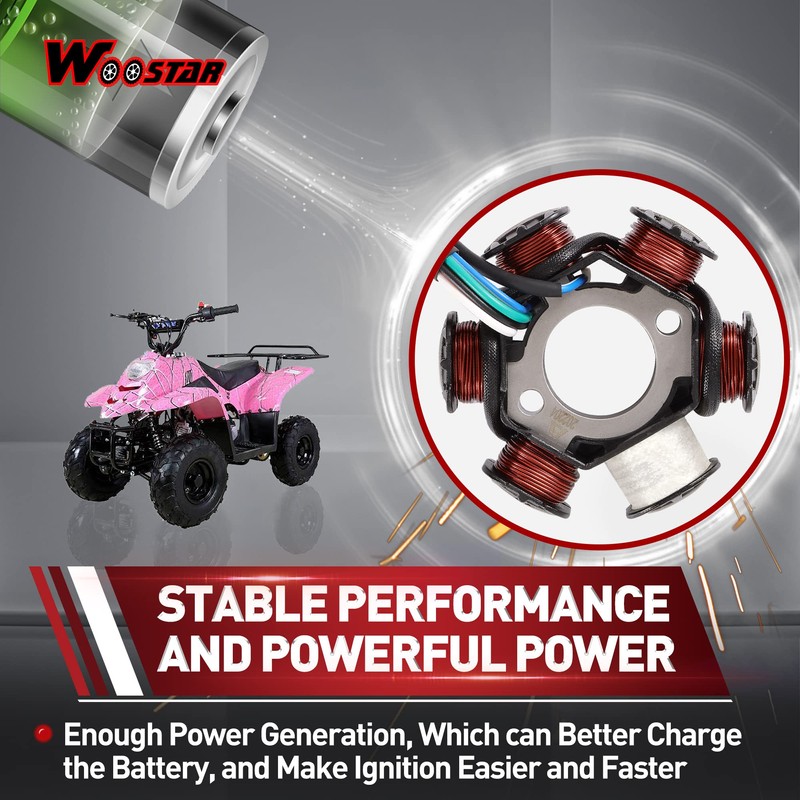 WOOSTAR 6 Coil 5 Wire Ignition Stator Magneto Replacement for