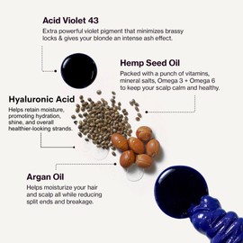 Pallure Blonde Toning Shampoo, Reduces Brassiness And Yellow Tones – For Blonde, Platinum, Bleached, Silver Hair, Vegan and Cruelty Free (10.14 Fl Oz)