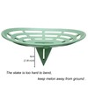 Jashem 10 Packs Melon Cradle Pumpkin Stand, Harvest Basket, Garden
