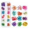 YFFSFDC Nail Pressed Flowers Dried Flowers for Nail Art Resin