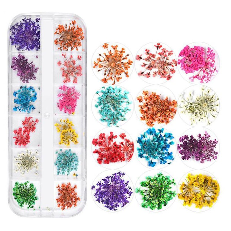 YFFSFDC Nail Pressed Flowers Dried Flowers for Nail Art Resin