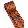 HISDERN Orange Ties for Men Woven Classic Silk Mens Tie