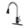 FORIOUS Kitchen Faucets with Pull Down Sprayer, High Arc Single