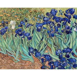 Vincent Van Gogh Irises Flower Painting Giclee Print on Fine Art Paper - 8x10