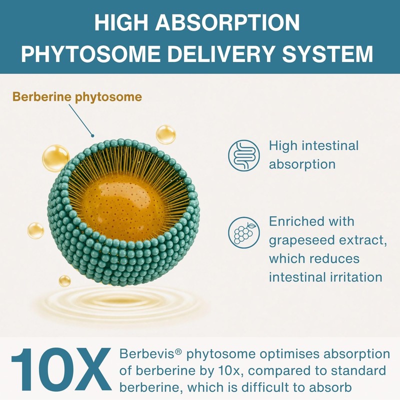 Igennus Advanced Berberine Phytosome 550mg & Chromium Picolinate,10x Absorption, Super