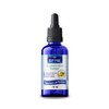 St. John's Wort (Hypericum perforatum) | St. John's Wort |