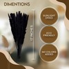 15 Pcs Pampas Grass by Boundless Lifestyle - 17’’ Fluffy