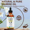 Jasmine Essential Oil for Skin Care, Pure and Natural Essential