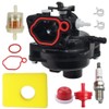 LIZAPUS Carburetor Carb Compatible with Craftsman M100 Lawn Mowers CMXGMAM201102