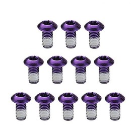 WIROJ M5x9mm Titanium Bolts for MTB Disc Brake Rotors, Bicycle Brake Disc Titanium Torx T25 Screws - 12 pcs per Package (Purple)