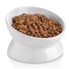 Ewenono 1 Pack White Cat Bowl with Tilted＆Elevated Design,Which Can