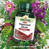 Natures Aid Magnesium Citrate 750 mg Capsules with Vitamin B6,