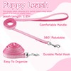 GGSTDDUP 36 Pcs Puppy Collar and Leash Set, Adjustable New