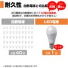 ELPA LED Bulb Mini Krypton E17 LED Bulb Color Equivalent,