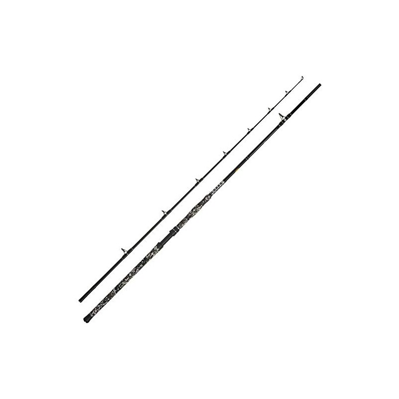WFT Big Cat Spin Cat 2.70 m, 20-190 g