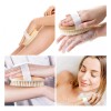 Universo en Linea Cepillo Corporal Cuerpo Exfolia Piel Muerta Circulacion