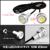 [Pack of 2] Waterproof Large LED Spotlight, Green, 0.5 V,