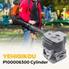 YEHIGIKOU P100006300 Cylinder Kit for Echo PB-8010 PB-9010 Backpack Blowers