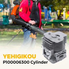 YEHIGIKOU P100006300 Cylinder Kit for Echo PB-8010 PB-9010 Backpack Blowers