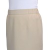 Paulo Due Lined Pencil Skirt for Women Smart Ladies Below