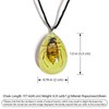 Handmade Glow Natural Bug Pendant Necklace Real Insect Resin Waterdrop