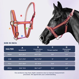 Hilltown Adjustable Horse Halter with PP Webbing, Durable Horse Halters with Zinc Alloy Hardware, Horses Training Equipment to Prevent Friction for Training, Competitions ＆ Daily (Full, Pink)