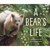 A Bear's Life (My Great Bear Rainforest, 2)