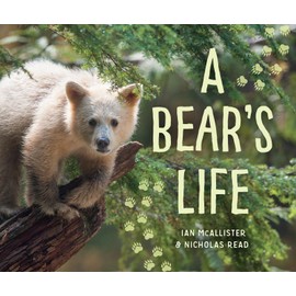 A Bear's Life (My Great Bear Rainforest, 2)