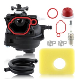 799583 Carburetor Replace OE Part # 590556 591160 591979 593261 595656 for 300E 450E 500E 550E 08P502 8P502 09P602 09P702 Engines Lawnmower 4-Cycle Outdoor Power Equipment with 799579 Air Filter