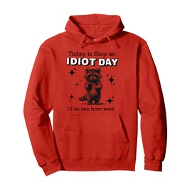 Today is an idiot day funny raccoon gift Pullover Hoodie