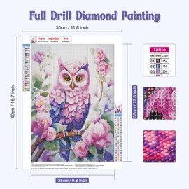 NAIMOER Owl Diamond Painting Adults, Diamond Painting Pictures Owl Diamond Painting Set Adults Animals Diamond Painting Children 5D Diamond Painting for Home Wall Decor (30 x 40 cm)
