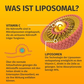 Real Liposomal Vitamin C (120 Capsules) - 100% Vegan - 0% Additives - German Manufacture - Supply for 4 Months