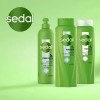 Sedal Shampoo rebióticos y biotina 620 mL