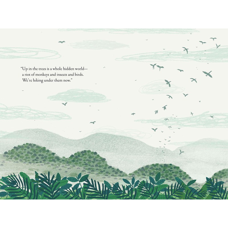 Over and Under the Rainforest