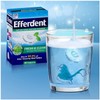 Efferdent Plus Anti-Bacterial Denture Cleanser, Minty Fresh, 78 Count