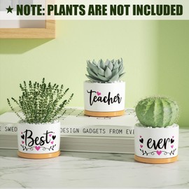 Teacher Gifts for Women, Funny Christmas Teacher Gifts, Birthday Gifts for Teacher Appreciation Gifts from Student Best Teacher Gifts, Ceramic Teacher Succulent Pots for Plants Indoor Retirement Gifts