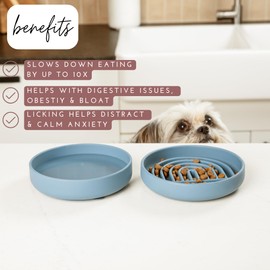 Should We Go? Slow Feeder for Dogs & Cats, The Slowdown Bowl Silicone Slow Eating Mealtime Solution with Modern Lick Mat Design, Reduces Gulping, Fits 1 Cup, 6” Across x 1.25” Tall, Small-Spruce
