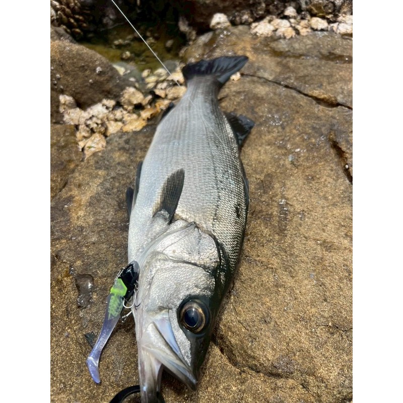 Flowfull Works Noid, 1.2 oz (30 g) (N008 Yellow Chart)