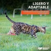 Arnés y correa para gatos, a prueba de escapes, sin