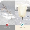 AmFor 2 Pack Large Plant Covers Freeze Protection, 95"x79" Frost