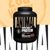 Animal Animal 100% Whey Protein Powder ?C Whey Blend for