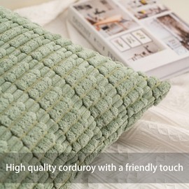 Aegero Pack of 2 Corduroy Decorative Throw Pillow Covers 18x18 InchSoft Boho Striped Pillow Covers Modern Farmhouse Home Decor for Sofa Living Room Couch Bed（Sage Green）
