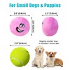 TONGKTAI Dog Toys Squeaky, 2.6' Soft Plush Stuff Puppy Ball,