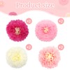 Paper Flowers Decorations, Kaluofan 16 PCS Paper Pom Poms Decorations
