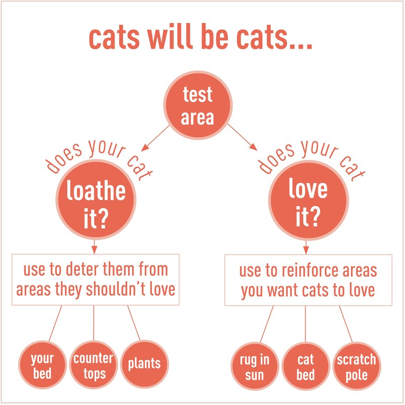 Messy Pet Cat Training Deterrent Spray Helps Stop Unwanted Pet